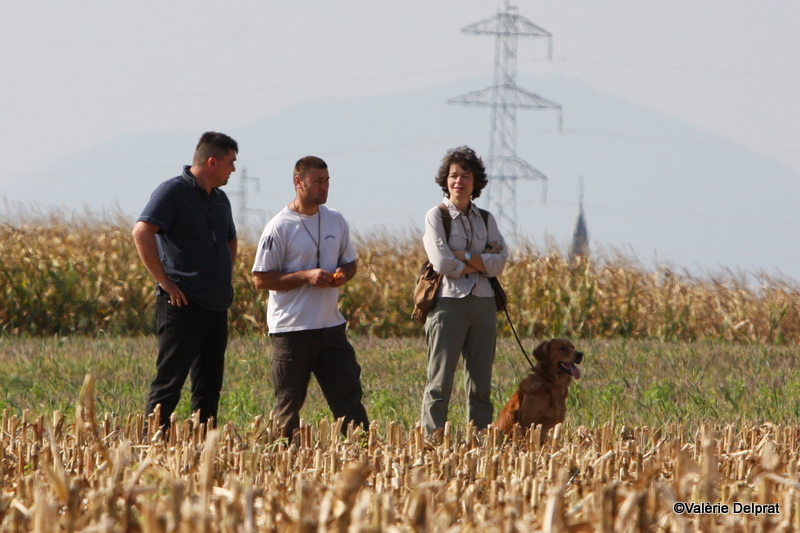 Field Erstein 09 (59).JPG